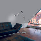 Tolomeo Reading Floor Lamp