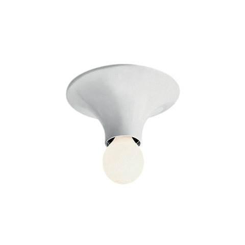 Teti Wall / Ceiling Light