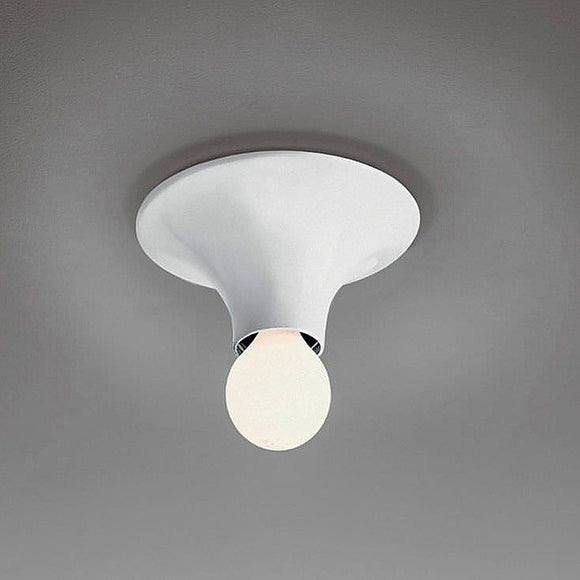 Teti Wall / Ceiling Light