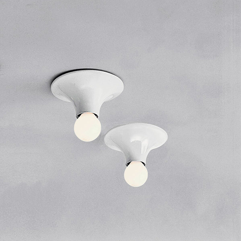 Teti Wall / Ceiling Light