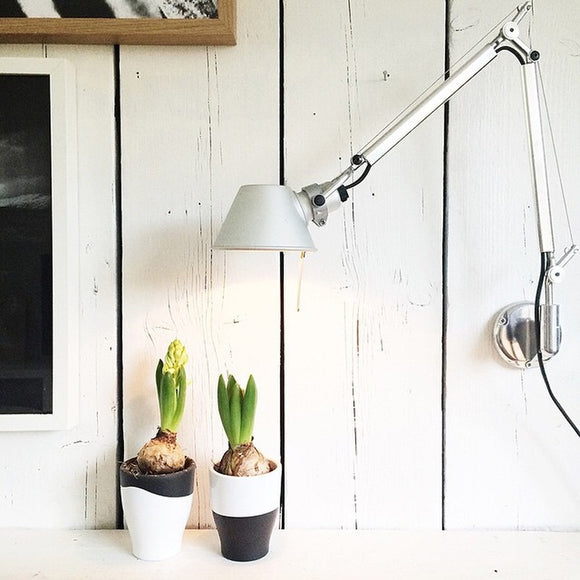 Tolomeo Micro Wall Light