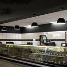 Nur Gloss Suspension Lamp
