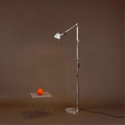 Tolomeo Micro Floor Lamp