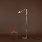 Tolomeo Micro Floor Lamp