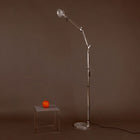 Tolomeo Micro Floor Lamp