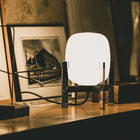 Cestita Metalica Table Lamp