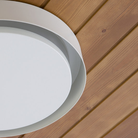 Amigo Indoor/Outdoor Flush Mount