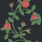 Elva Rose Wallpaper