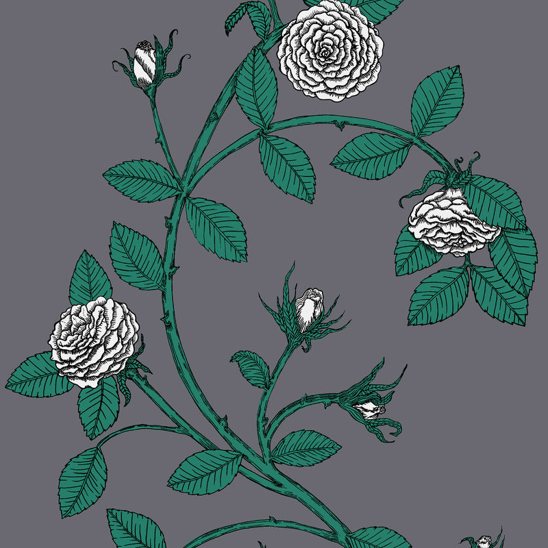 Elva Rose Wallpaper