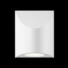 Inside-Out Shear Large Wall Light