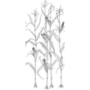 Corn Rows Wallpaper Sample Swatch