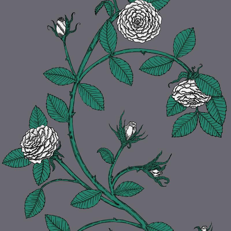 Elva Rose Wallpaper Sample Swatch