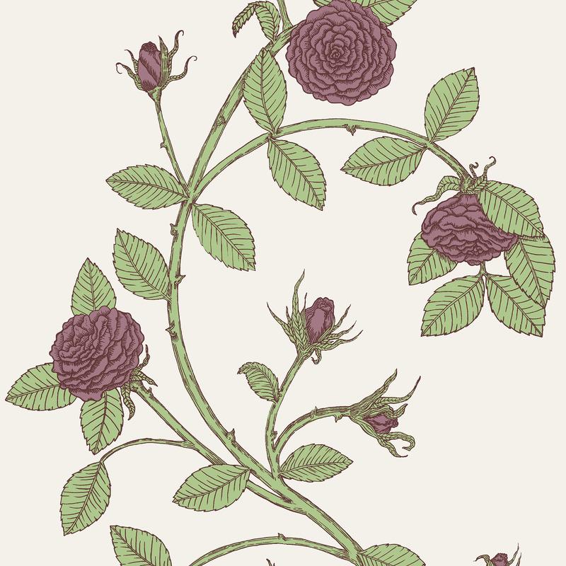 Elva Rose Wallpaper Sample Swatch