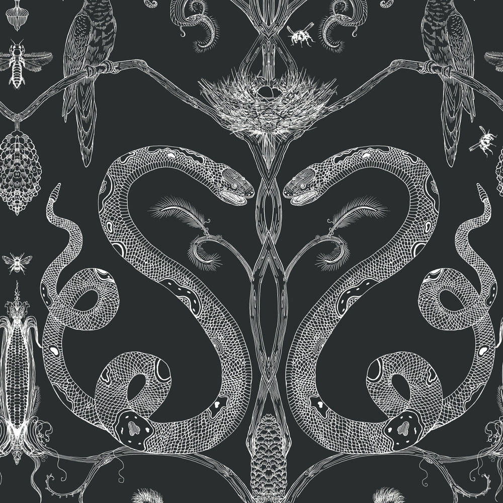 Snake Party Wallpaper Sample Swatch