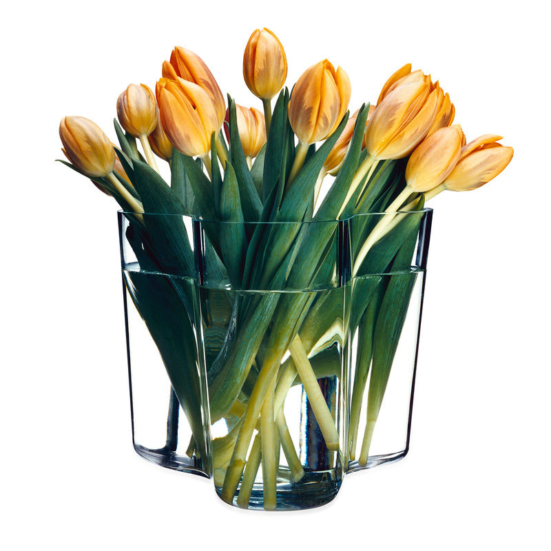 iittala Aalto Vase - 2Modern