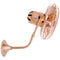 Michelle Parede Wall-Mounted Fan  option Polished Copper