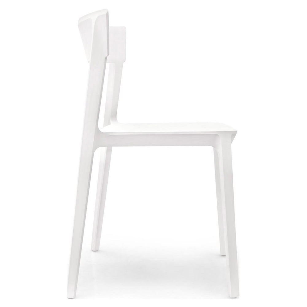 Skin Chair