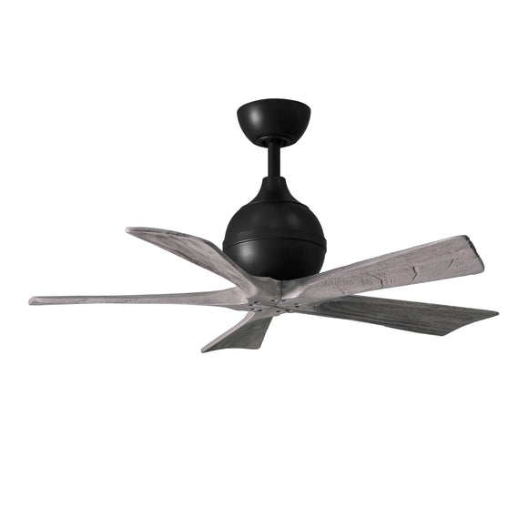 Irene 5 Ceiling Fan