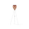 Conia Floor Lamp  option Copper