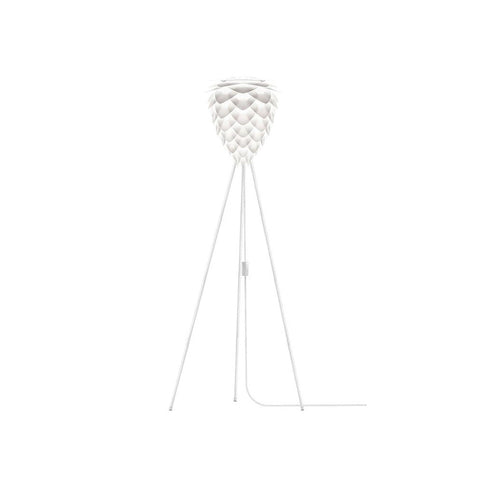 Conia Floor Lamp