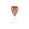 Conia Table Lamp  option White