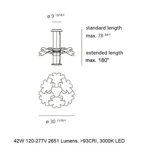 Chlorophilia Suspension Light
