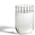 Dearborn Water Glass (Set of 2)