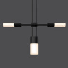 Suspenders Standard Single Wall Light