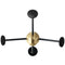 Matégot Coat Rack Brass Base  option Midnight Black