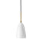Grashoppa Pendant Light  option Alabaster White