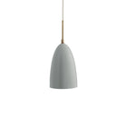 Grashoppa Pendant Light