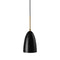 Grashoppa Pendant Light  option Black Glossy