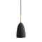 Grashoppa Pendant Light  option Black Semi Matte