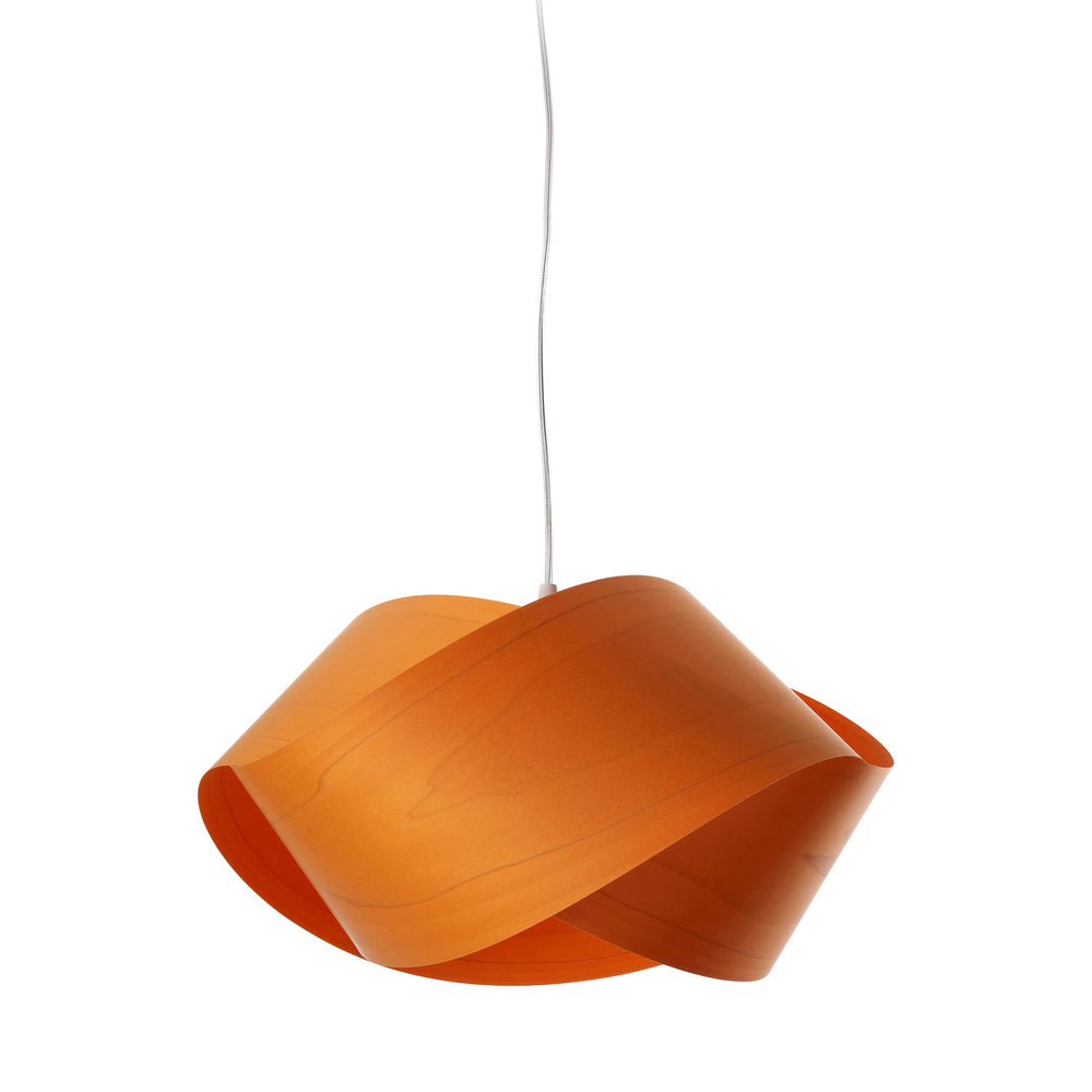 Nut Pendant Light