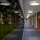Gea 42 Sconce