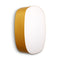 Guijarro G5 Wall Sconce  option Yellow