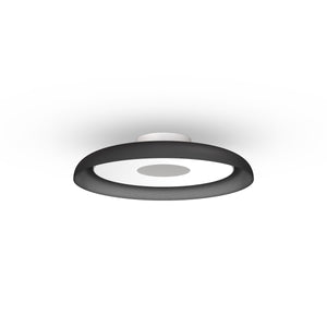 Nivel Wall/Ceiling Light