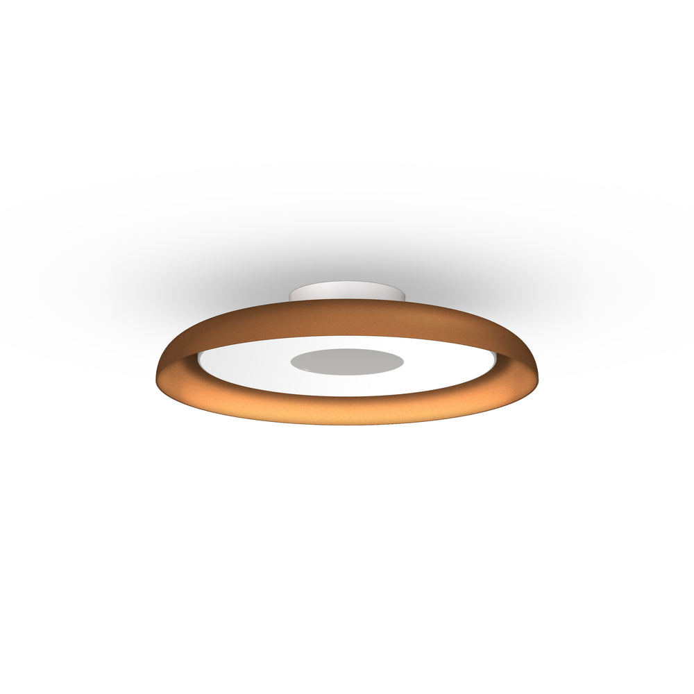 Nivel Wall/Ceiling Light