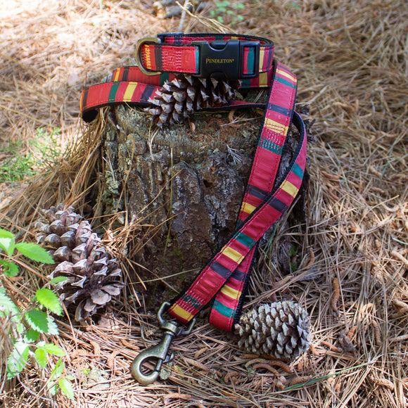 National Park Hiker Collar Set