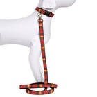 National Park Hiker Leash