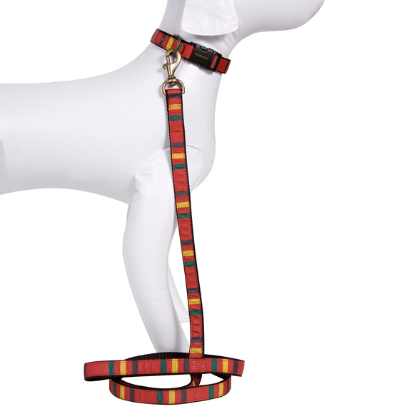 National Park Hiker Leash