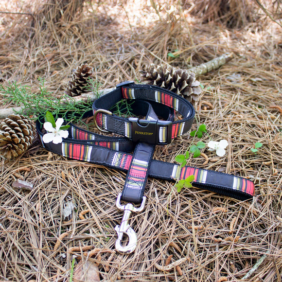 National Park Hiker Leash