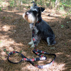 National Park Hiker Leash