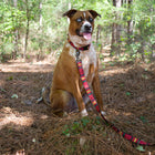 National Park Hiker Leash