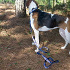 National Park Hiker Leash