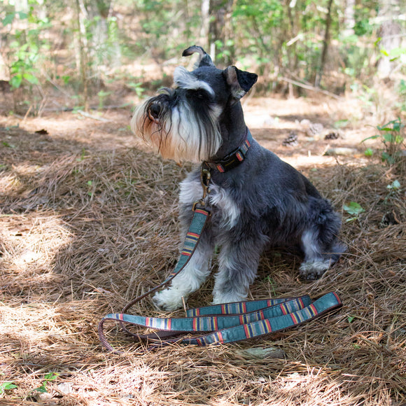 Vintage Camp Hiker Leash