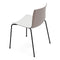 Catifa 46 Dual Color Dining Chair  option PO212 White/Anthracite