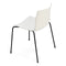 Catifa 46 Dual Color Dining Chair  option PO213 White/Ivory