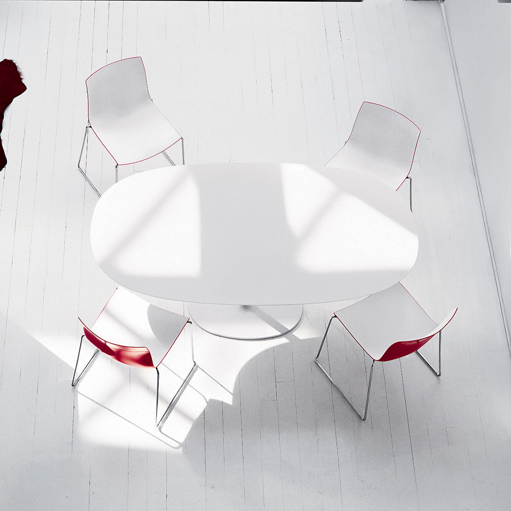 Catifa 46 Dual Color Dining Chair with Sled Base