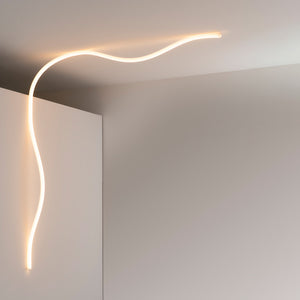 La Linea Outdoor Wall/Ceiling Light